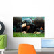 Us Naval Academy Freshmen Wall Decal