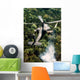 Apache Helicopter Firing Wall Decal