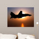 F-14d Tomcat Flight Wall Decal