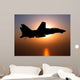 F-14d Tomcat Flight Wall Decal