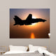 F-14d Tomcat Flight Wall Decal