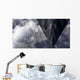 F-117a Nighthawk Flies High Wall Decal
