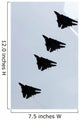 Four F-14d Tomcats Flight Wall Decal
