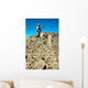 Us Army Soldier Examines Wall Decal