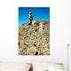 Us Army Soldier Examines Wall Decal