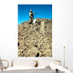 Us Army Soldier Examines Wall Decal