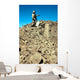 Us Army Soldier Examines Wall Decal