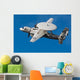 E-2c Hawkeye Flight Wall Decal Design 2