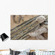 Soldiers Arrange All Ordnance Wall Decal