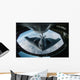 B-2 Spirit Bomber Refuels Wall Decal