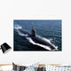 Uss Tucson Wall Decal