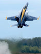 Lead Solo Pilot Blue Wall Decal Design 2