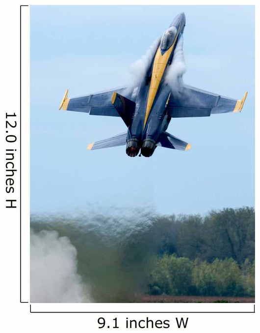 Lead Solo Pilot Blue Wall Decal Design 2
