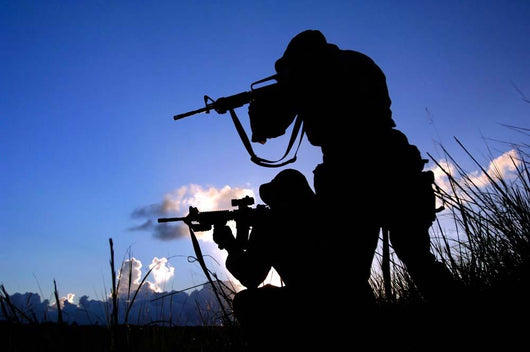 Air Force Security Forces Wall Decal