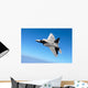 F A-22 Raptor Banks Wall Decal