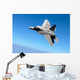 F A-22 Raptor Banks Wall Decal
