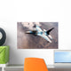 F-16 Falcon Flight Wall Decal