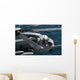 Us Marine Corps Ch-53e Wall Decal Design 1