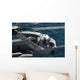 Us Marine Corps Ch-53e Wall Decal Design 1