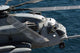 Us Marine Corps Ch-53e Wall Decal Design 1