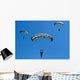 Airmen Perform High Altitude Wall Decal