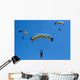 Airmen Perform High Altitude Wall Decal