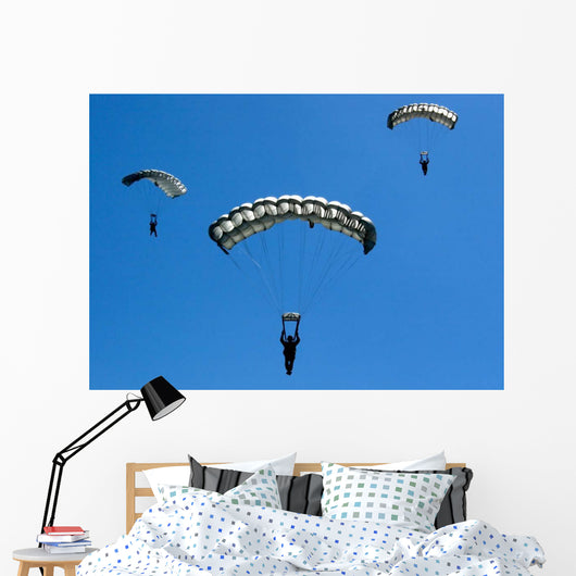 Airmen Perform High Altitude Wall Decal