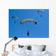 Airmen Perform High Altitude Wall Decal
