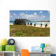 Us Marines Run out Wall Decal