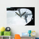 Navy F A-18f Super Wall Decal