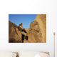 Soldier Takes up Position Wall Decal