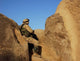 Soldier Takes up Position Wall Decal