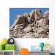 Soldier Climbs Mountain Wall Decal