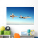 Pair F A-18c Hornets Wall Decal