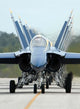 F A-18a Hornets Assigned Wall Decal
