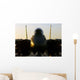 F-14b Tomcat Sits Flight Wall Decal