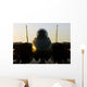 F-14b Tomcat Sits Flight Wall Decal