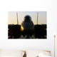 F-14b Tomcat Sits Flight Wall Decal