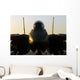 F-14b Tomcat Sits Flight Wall Decal