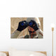 Sailor Scans Horizon Wall Decal