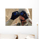 Sailor Scans Horizon Wall Decal