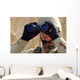 Sailor Scans Horizon Wall Decal