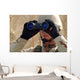 Sailor Scans Horizon Wall Decal