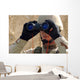Sailor Scans Horizon Wall Decal