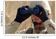 Sailor Scans Horizon Wall Decal