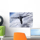 B-1b Lancer Flies over Wall Decal