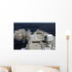 Pre-action Calibration Fire from Wall Decal