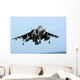 Av-8b Harrier Ii Prepares Wall Decal