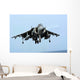 Av-8b Harrier Ii Prepares Wall Decal