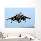 Av-8b Harrier Ii Prepares Wall Decal